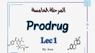 Prodrug 17 [upl. by Eenitsed]