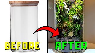 Building a terrarium in a jar Step by Step [upl. by Kallman]