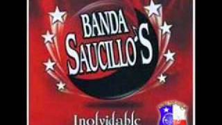 Inolvidable  Banda Saucillos [upl. by Azmuh]