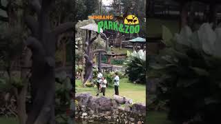 Lembang Park amp Zoo Indonesia [upl. by Eromle]