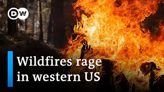 Wildfires ravage west coast of the United States  DW News [upl. by Delsman]