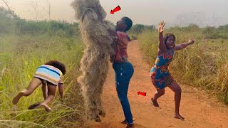 Top Funniest Reactions of Bushman Prank 2023 [upl. by Nemra826]