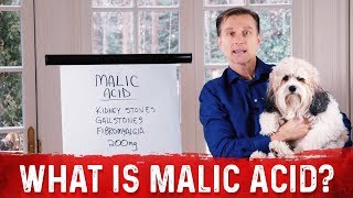 What Is Malic Acid amp Its Benefits – DrBerg [upl. by Steep412]