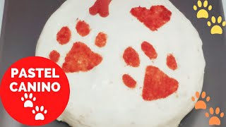 PASTEL DE POLLO PARA PERROS 😍 🐕 [upl. by Henryetta]