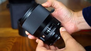 Sigma 135mm f18 DG HSM Art lens review with samples Fullframe amp APSC [upl. by Amathist]