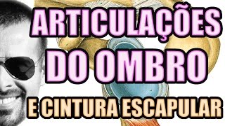 Vídeo Aula 118  Anatomia Humana Articulação do Ombro Cintura Escapular e Síndrome do Impacto [upl. by Payson]