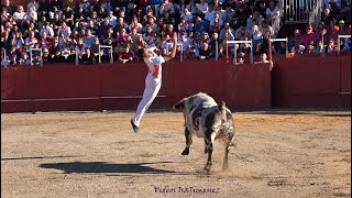 Ágreda Soria 29092024  Concurso de Recortes  HD [upl. by Valry]