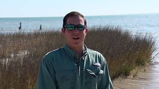 Texas Fishing Tips Fishing Report 2824 Baffin Bay Area With Capt Grant Coppin [upl. by Rim92]