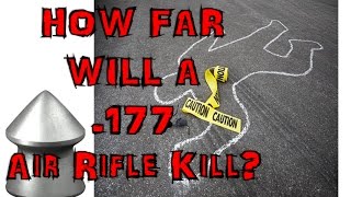 HOW FAR WILL 177cal AIR RIFLE KiLL [upl. by Akcirre962]