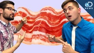 SourceFed Vs DNews The Ol Bacon Debate [upl. by Notaes]