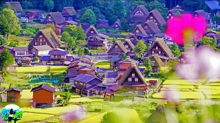 Shirakawago the BEST ancient village in Japan🤩shirakawago Gifu Ken Japantravelwithme [upl. by Timi]