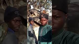 Bello Turji News His boiz are hiden inside forest belloturji [upl. by Nye848]