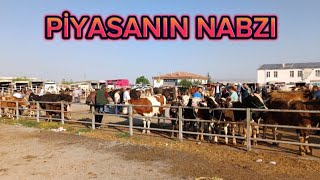 2 BÖLÜM KIRŞEHİR HAYVAN PAZARILİVESTOCK BAZAAR [upl. by Zysk]