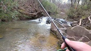 Fishing and Exploring in South Carolina [upl. by Yerggoeg]