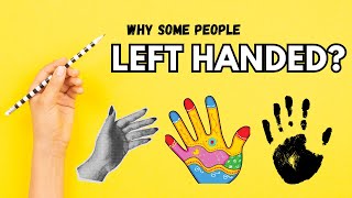 Why Are Some People Left Handed  Explained Simply [upl. by Gwenn]