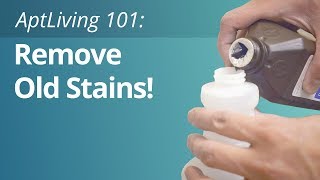 How To Remove Old Stains From Carpet [upl. by Ardnaeel63]