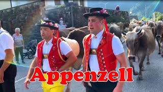 Appenzell Switzerland  Cow Parade Alpine Festival Swiss Alps 🇨🇭 [upl. by Ayekat]