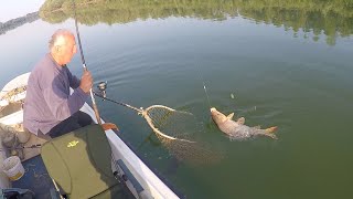 Pecanje šarana na Savi  Dubinsko pecanje šarana I deo  Fishing carp in river [upl. by Ingelbert]