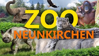 Neunkircher Zoo  ZooEindruck [upl. by Oznohpla]