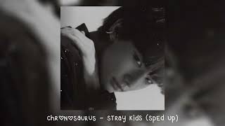 chronosaurus  stray kids 𝒔𝒑𝒆𝒅 𝒖𝒑 [upl. by Llenyr]