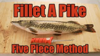 Fillet Pike with NO BONES StepbyStep [upl. by Lorelei]