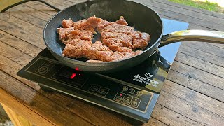 Duxtop Portable Induction Cooktop Review [upl. by Novek]