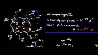 Biochemistry  Uroporphyrinogen Decarboxylase Mechanism [upl. by Clyde]