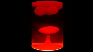 Make a Salt Lava Lamp  Mad Science [upl. by Tilford586]