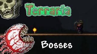 Terraria 14  The Guide to ALL Bosses [upl. by Vitus]