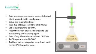 Synthesis of Silver Nanoparticles by Leaf Extract  InstaNANO [upl. by Freida]