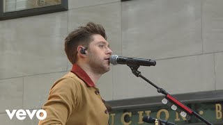 Niall Horan  Too Much To Ask Live On The Today Show [upl. by Atsirt]