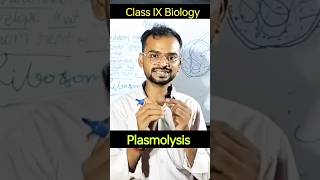 What is plasmolysis biology plasmolysiskyahai shorts ytshorts ncert cell [upl. by Revlys]