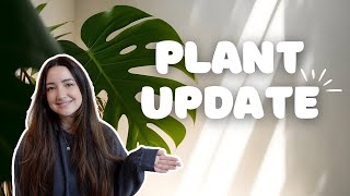 Walk Through My Collection With Me  Full Plant Update Feb 2024 🪴 [upl. by Muna]