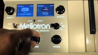 Mellotron 4000D Mini First Look [upl. by Neerroc]