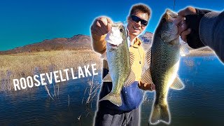 Roosevelt Lake Bass Fishing  Arizona [upl. by Skardol]