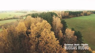 Kazimieras Jakutis  Nuogas Ruduo [upl. by Uhej]