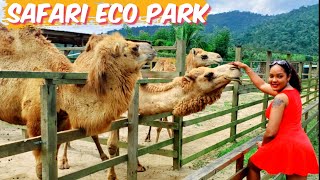 Safari Eco Park Chaguaramas Trinidad  Trinidad Youtuber [upl. by Ynnoj]