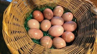 Pretty Pink Easter Eggs with Natural Dye  Avocado [upl. by Phelgon]