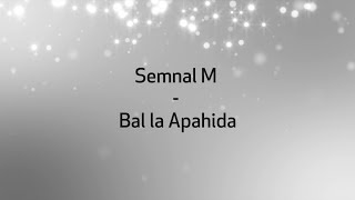 Semnal M  Bal la Apahida versuri lyrics karaoke [upl. by Cristina356]