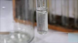 Carbon dioxide CO2 and Limewater CaOH2 [upl. by Gabriella]