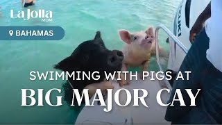 Swimming with Pigs at Big Major Cay Exumas  La Jolla Mom’s Guide [upl. by Sorvats]