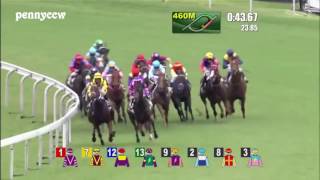 Craziest horse racing DEBUT ever  6 Pakistan Stars from Last to First Hong Kong 2016 [upl. by Asare]