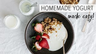 HOW TO MAKE HOMEMADE YOGURT  healthy yogurt from scratch [upl. by Acirederf484]