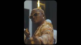 Portable ft Small Doctor  Neighbour Video [upl. by Euqinamod]