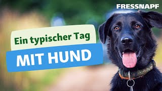 Alltag mit Hund  Leben mit Haustier  FRESSNAPF [upl. by Garda625]