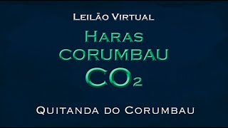 Quitanda do Corumbau [upl. by Ahseram]