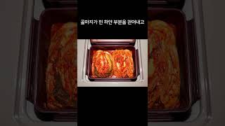 김치에 핀 하얀 곰팡이의 정체 [upl. by Rector]