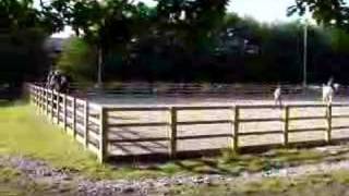 Riding Lesson at RMA Sandhurst 1 of 3 [upl. by Yelrac694]