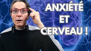 5 Choses insoupçonnées que fait votre cerveau fait face à lanxiété  Zoom sur lamygdale [upl. by Memory344]