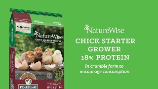 Nutrena NatureWise Chick Starter Grower Feed [upl. by Desta692]